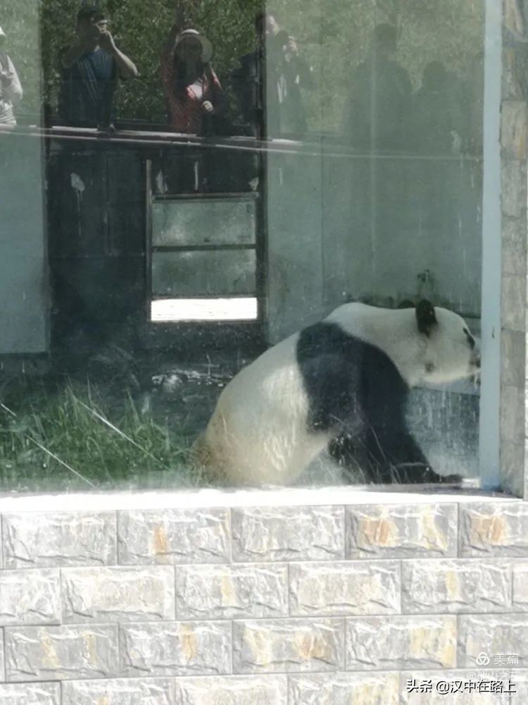 汉中户外遛娃好去处排行榜,汉中遛娃旅游景点有哪些