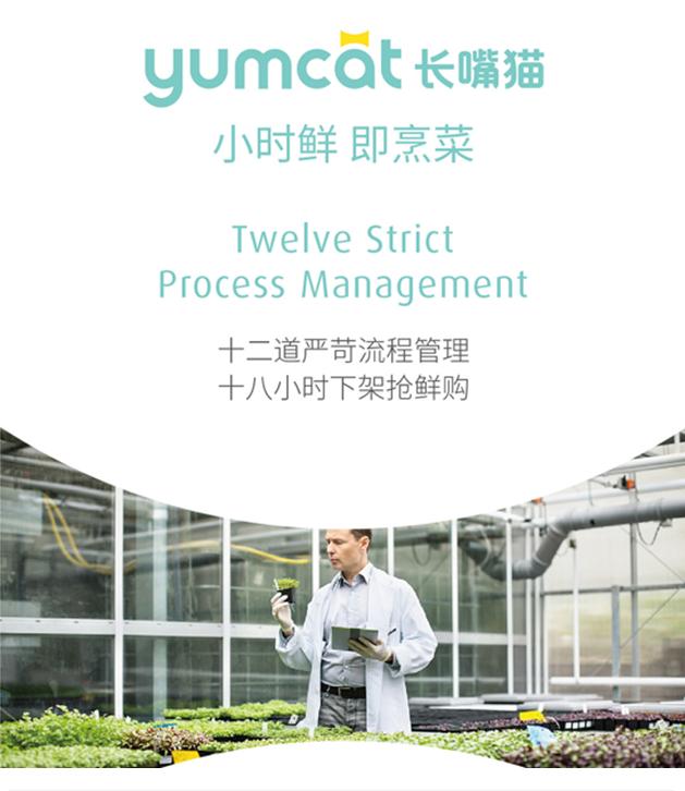 久坐吃得少怎么还长胖,容易发胖的7个饮食习惯