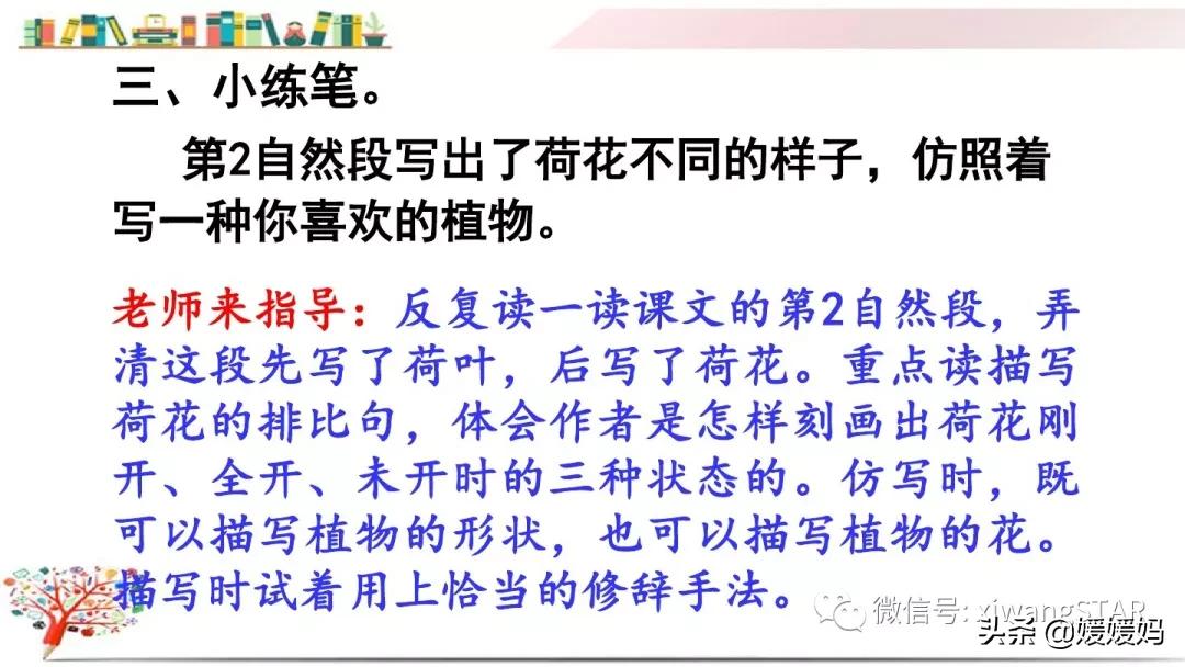 三年级下册荷花ppt课件部编版,三年级下册语文第三课荷花小练笔