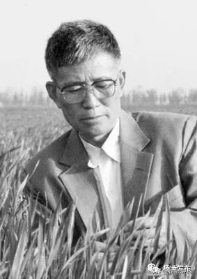 李立科陕西,李立科陕西省农业学校