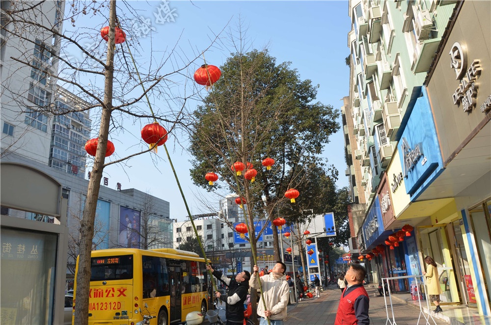 成都双流最新新闻,未来的双流会变成什么样子