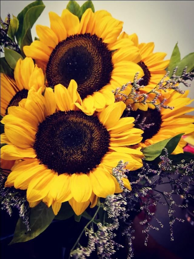 父亲节快到了又想起了我的爸爸,父亲节让我想起了自己的爸爸