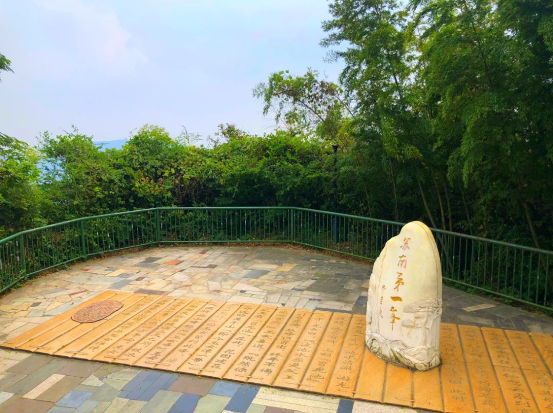 宜兴竹海玉女峰凌云阁,宜兴竹海登高望远视频