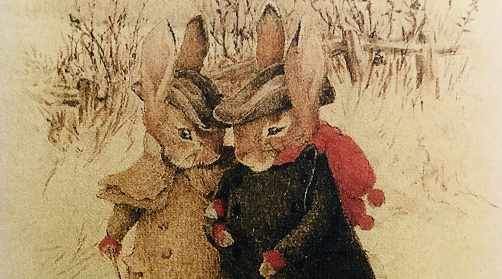 118岁英国“彼得兔”，兔妈妈一生无子，用密码日记写一世孤独