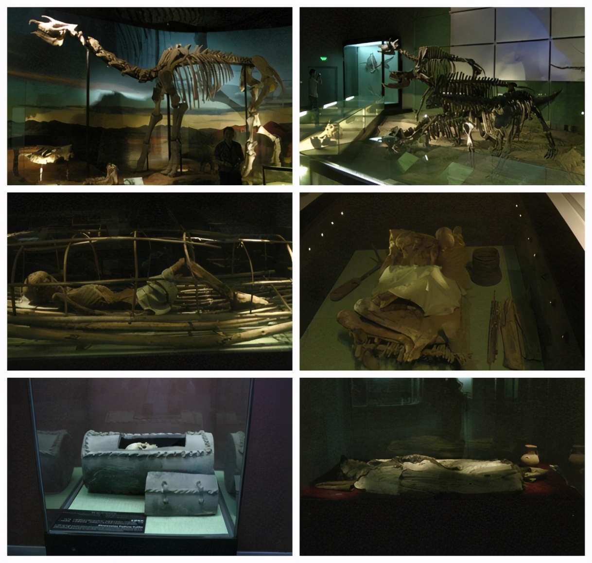 2013年E-1*疆新**东南西北中班车自助游-东