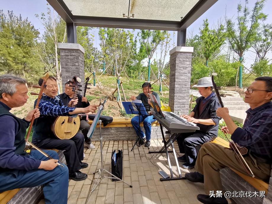 市区又多一个遛娃圣地,不花钱的遛娃胜地