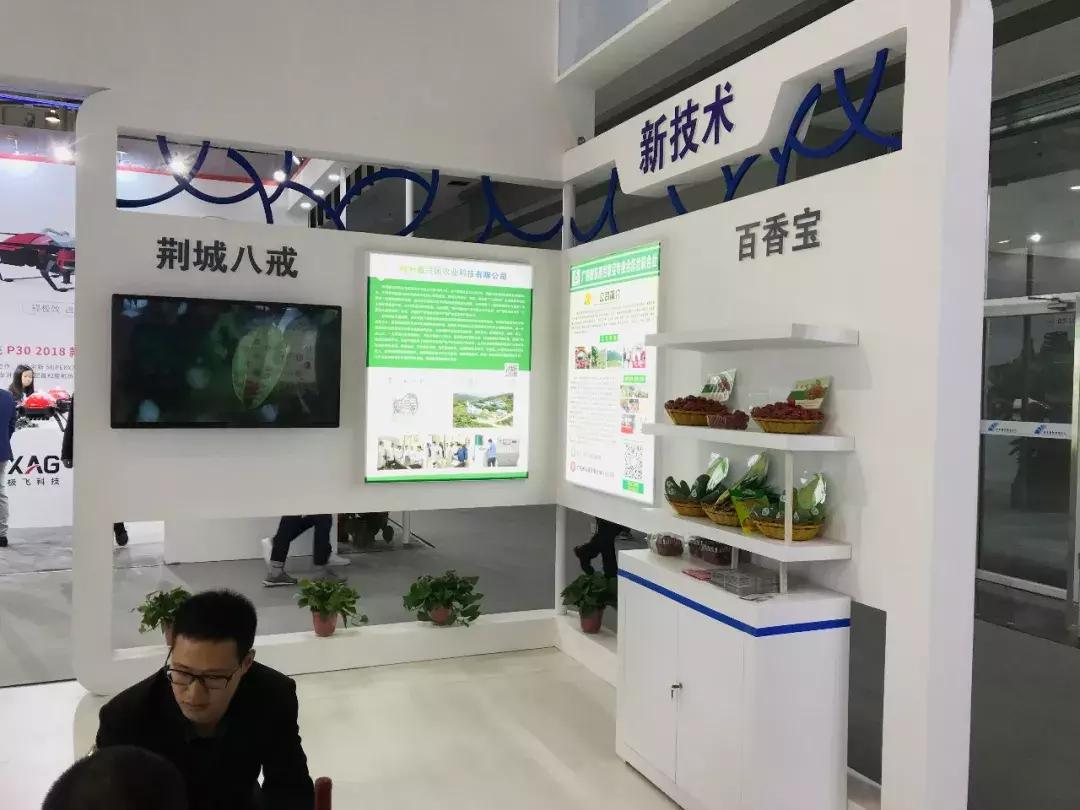 打造广西好嘢中国高端农产品品牌,广西好嘢品牌展示