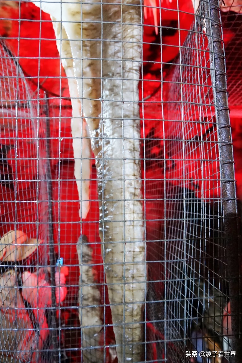 逃离北京40度高温，房山享用22度清凉，看银狐，逛古街吃铁锅炖