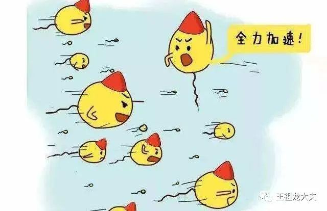 一篇文章让你秒懂,一篇文章让您读懂复刻表