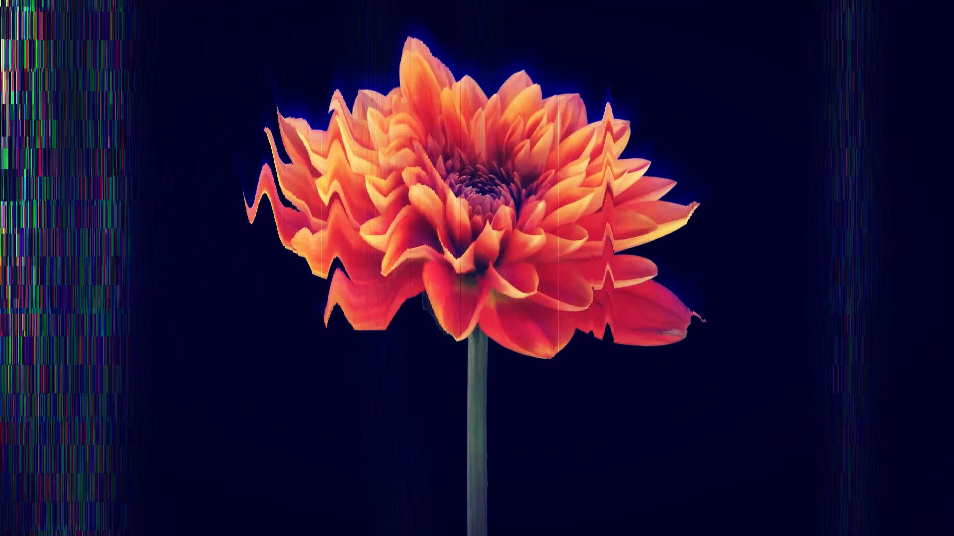 科学家发现罕见巨型黑洞,5500万光年外黑洞怎么拍到的