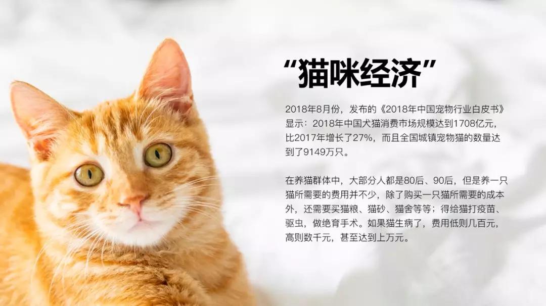 ppt中如何进行图片细节展示,ppt经验分享中适合放的图片