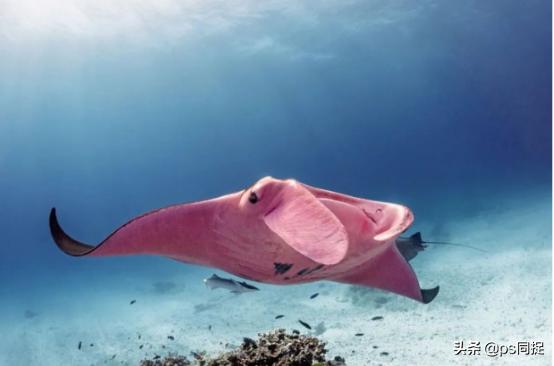 创意性设计灵感网站推荐,公认最实用且免费的5个设计网站