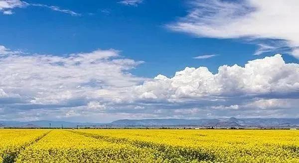 想报自考的人在哪找,想报自考去哪里报名