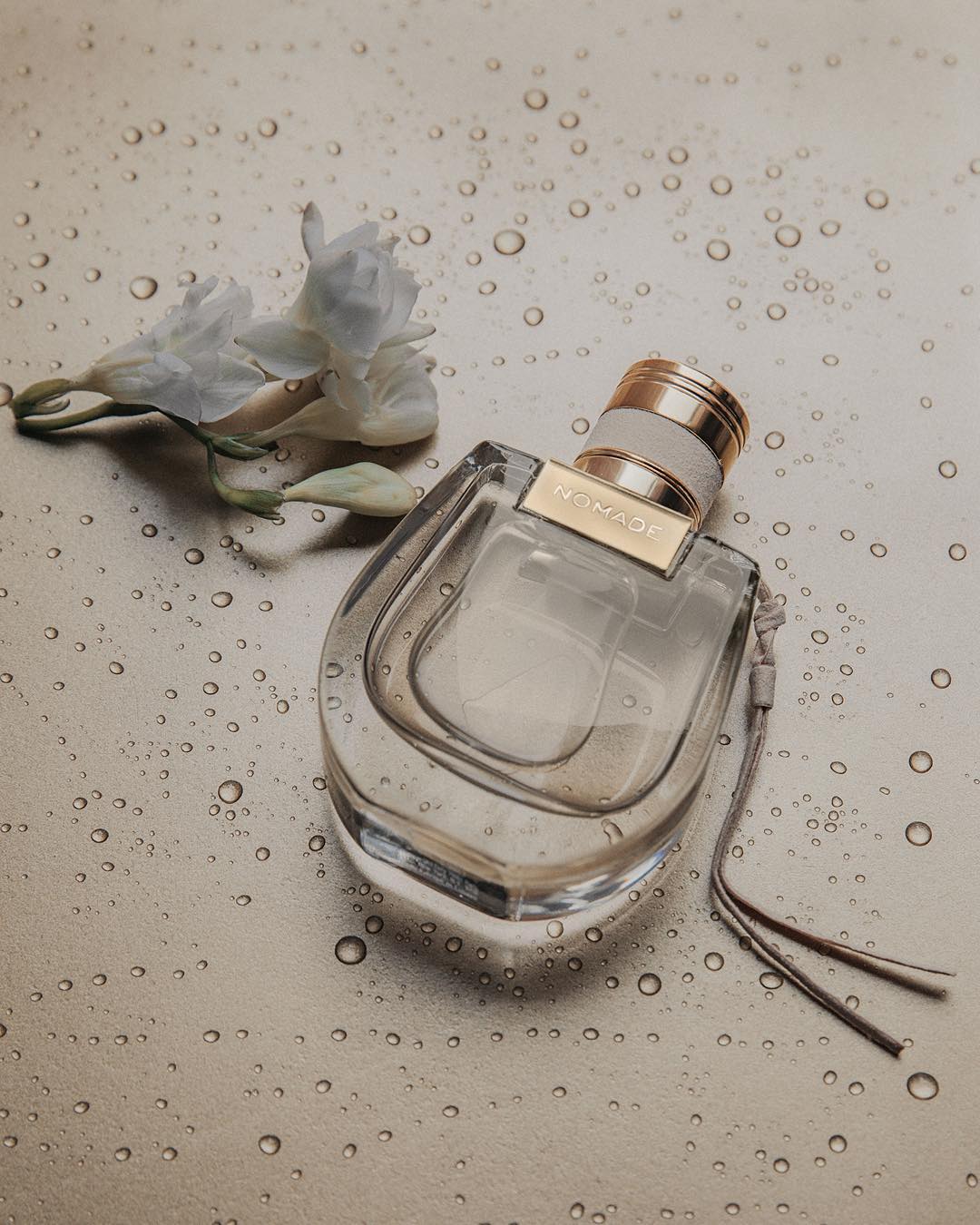 古力娜扎同款连衣裙chloe,杨幂chloe太阳镜