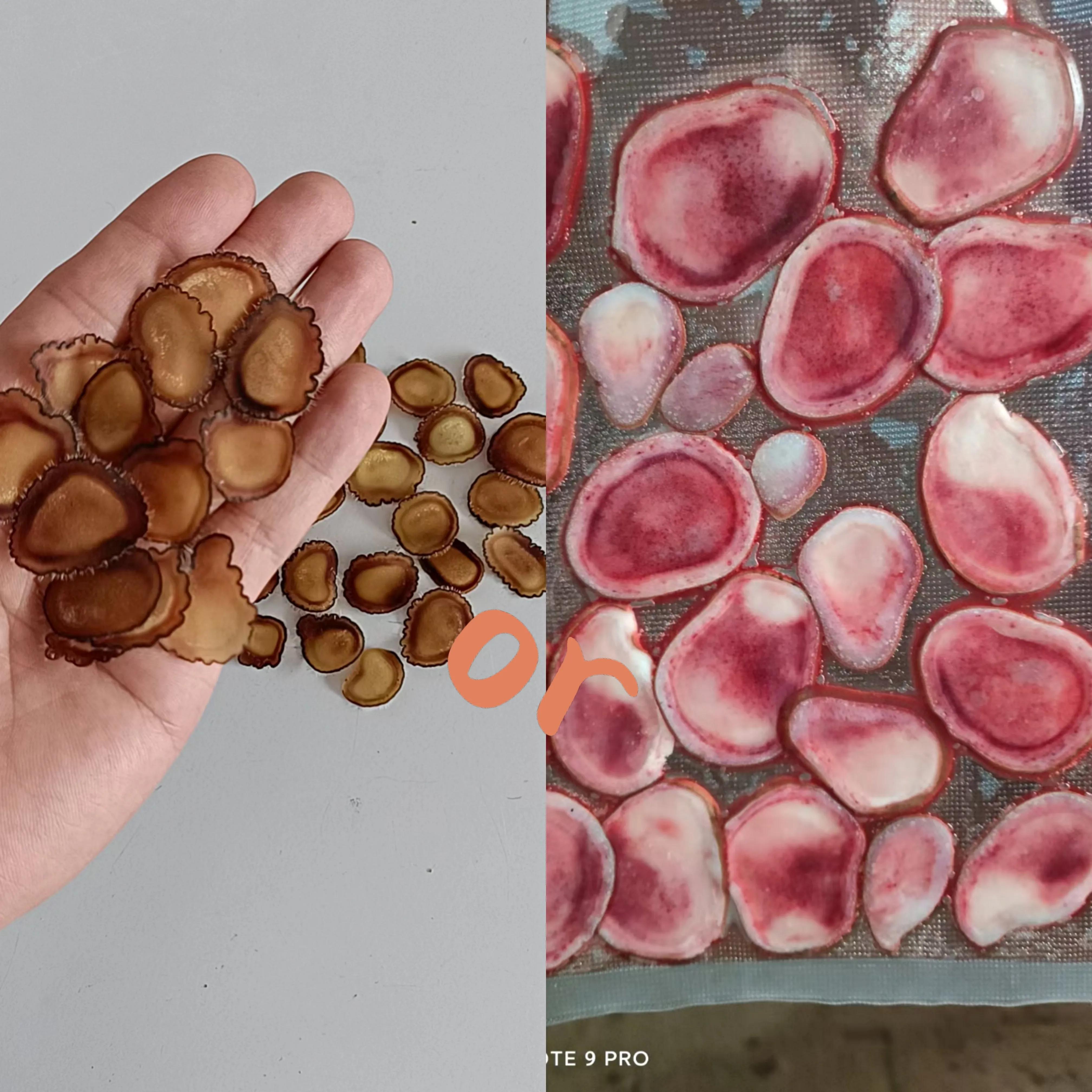 买鹿茸是鲜鹿茸好还是干鹿茸片好,鹿茸泡酒用长鹿茸好还是短鹿茸好