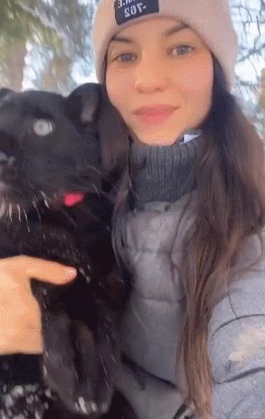 橘猫被抓警察局,肥猫被警察带走判刑