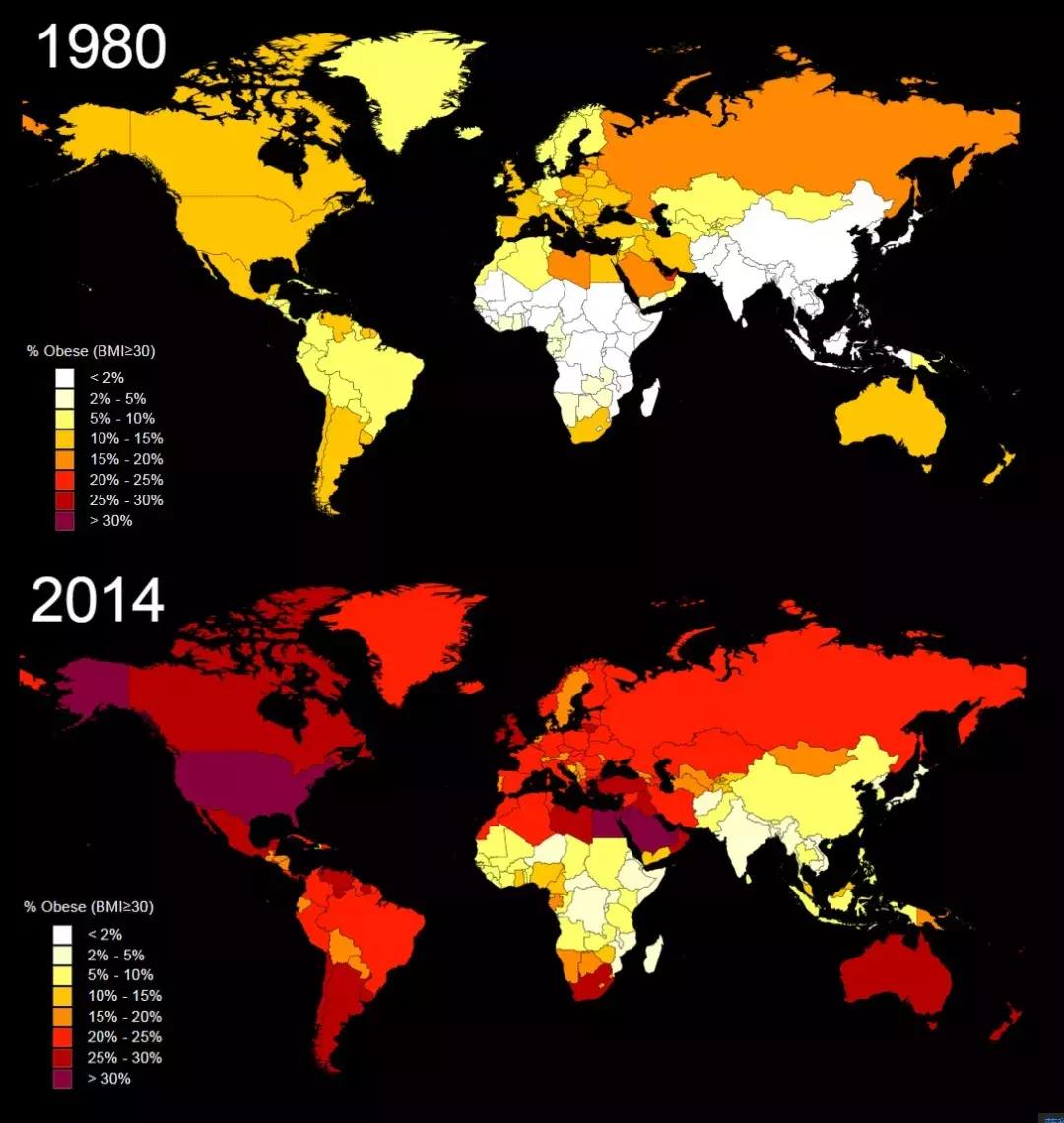 隐瞒50年的骗局,隐瞒了20年的真相完整版