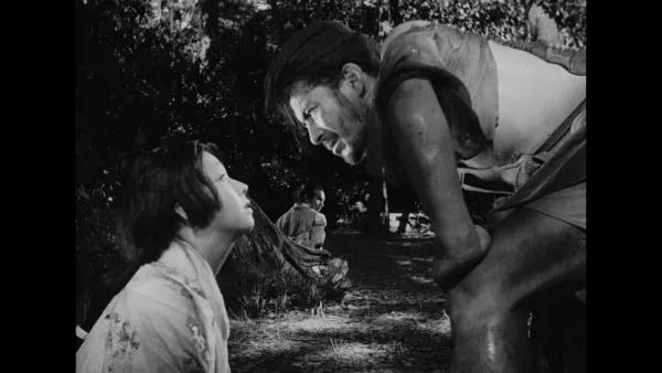 罗生门深度思考,罗生门热点事件对公安机关的思考