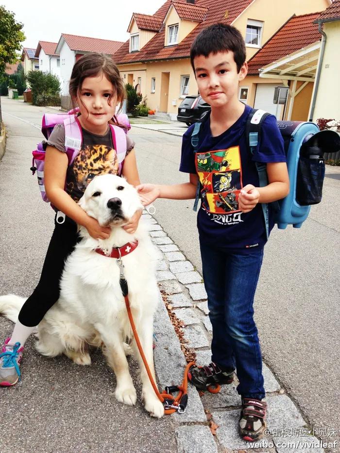 德国孩子为什么那么自信,为什么德国孩子这么优秀