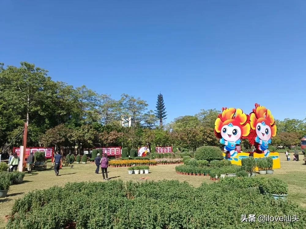 第三十四届菊花展,汕头菊展时间表