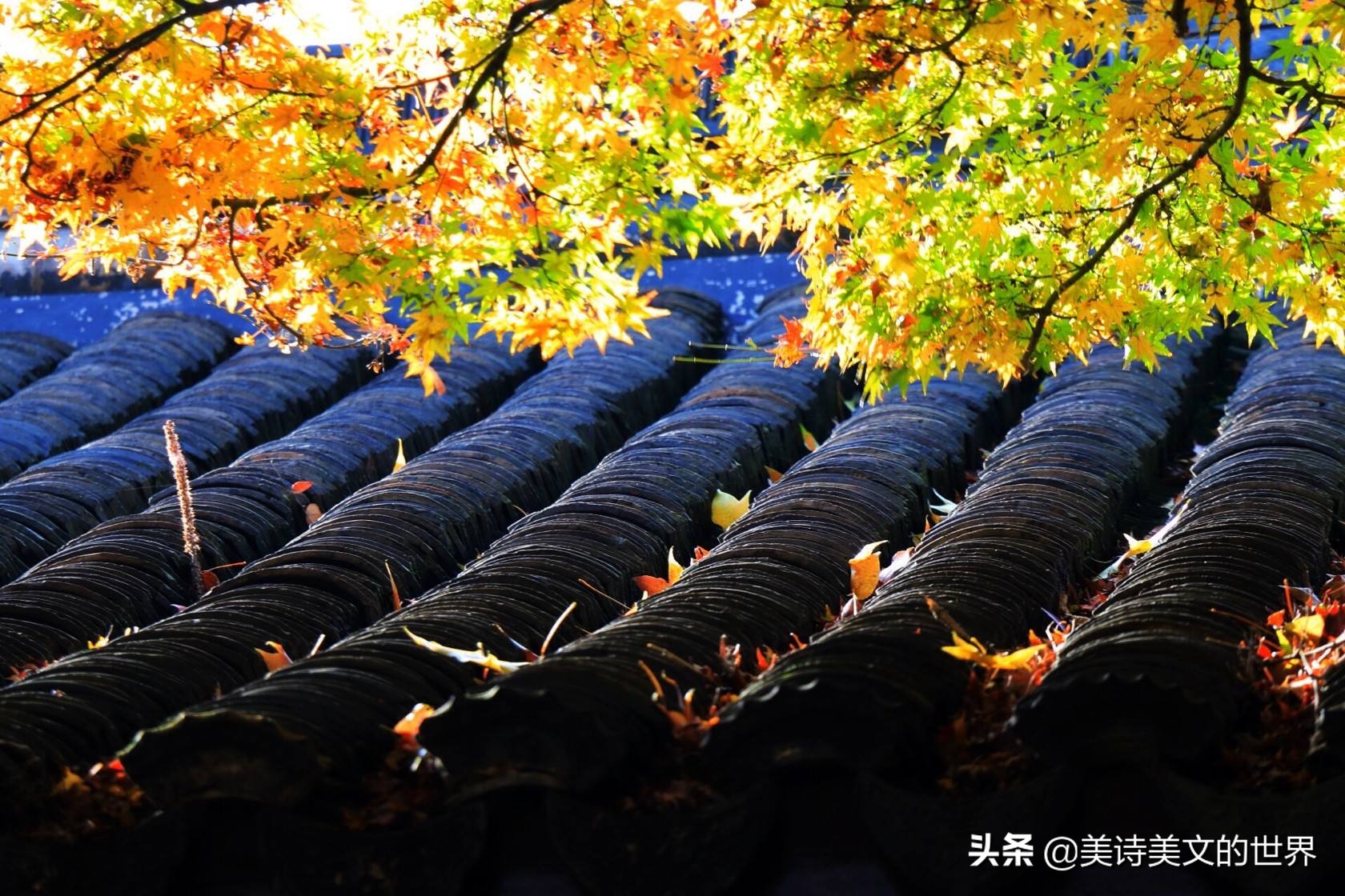 才子在墙上写了首7字诗，不少名家续写，却都不如一位酒鬼对得妙