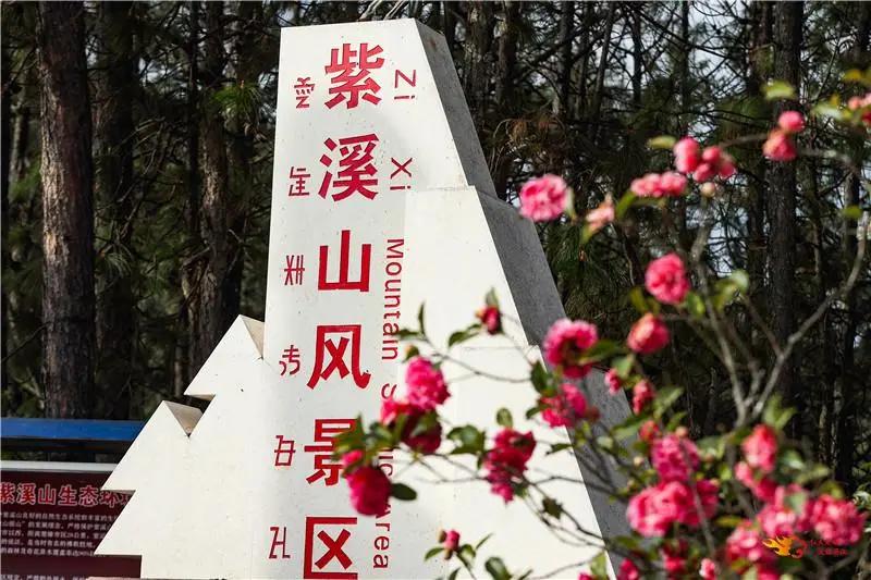 瞧！这花花世界谁不爱