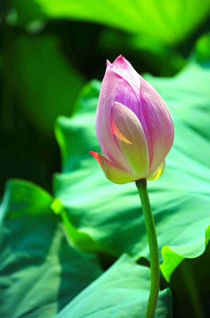 励志人生感悟正能量句子经典,正能量励志豪情经典语录