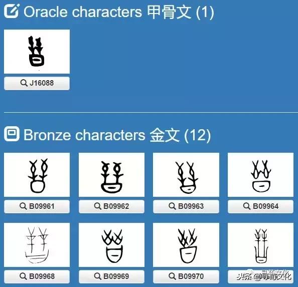 汉字的艺术和中华姓氏文化,字与传统姓氏文化之间的关系