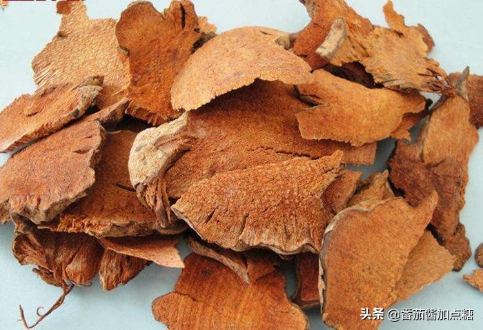 野生菝葜金刚刺,菝葜种植