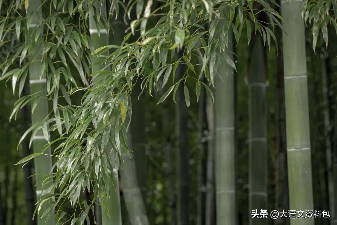 如果颜色也有七情六欲，哪种颜色最深情？最美中国色美得不可方物