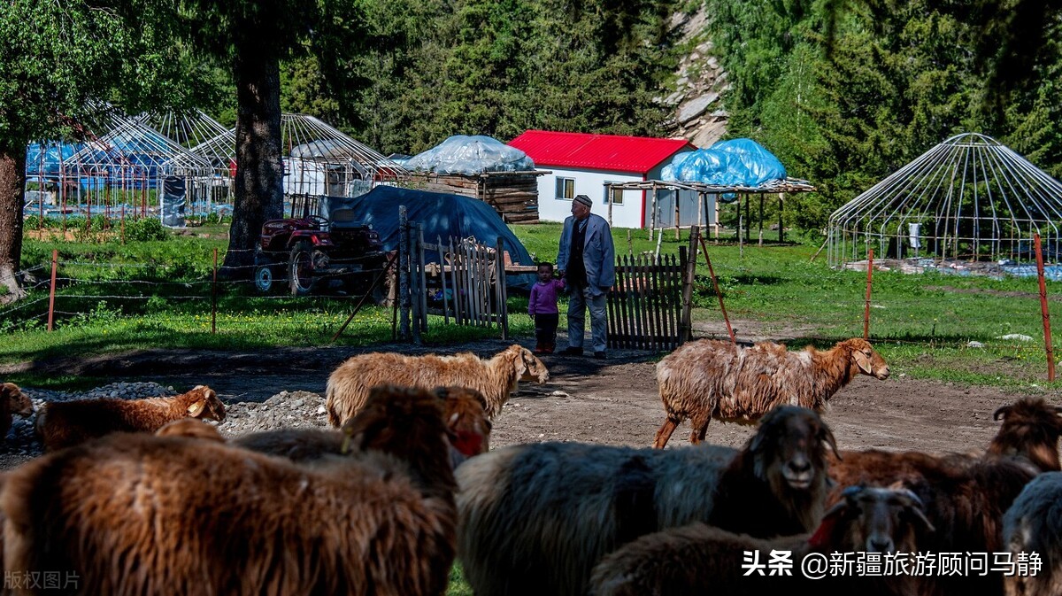 南京禄口机场疫情波及多地乌市：江苏、沈阳、中山来乌人员需隔离