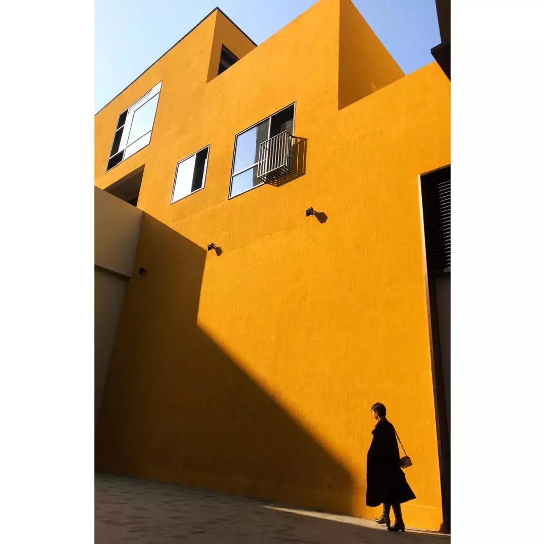 春日赏花深圳,深圳春游赏花