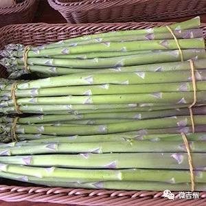 十大特点扶贫产品,第十七批全国扶贫产品名录