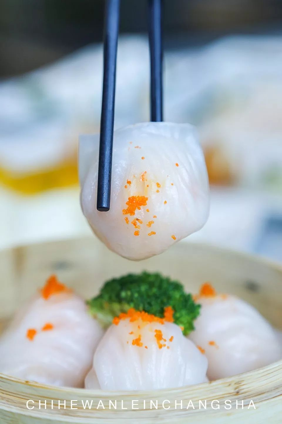 南边这座新晋美食地攻略来啦，收藏