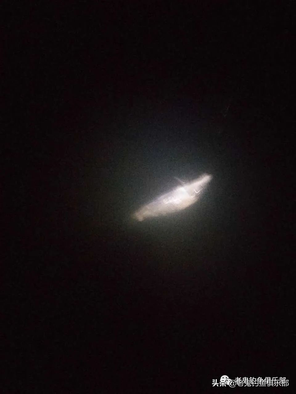 老鬼老三样用什么打窝,老鬼老三样速攻鲤鱼