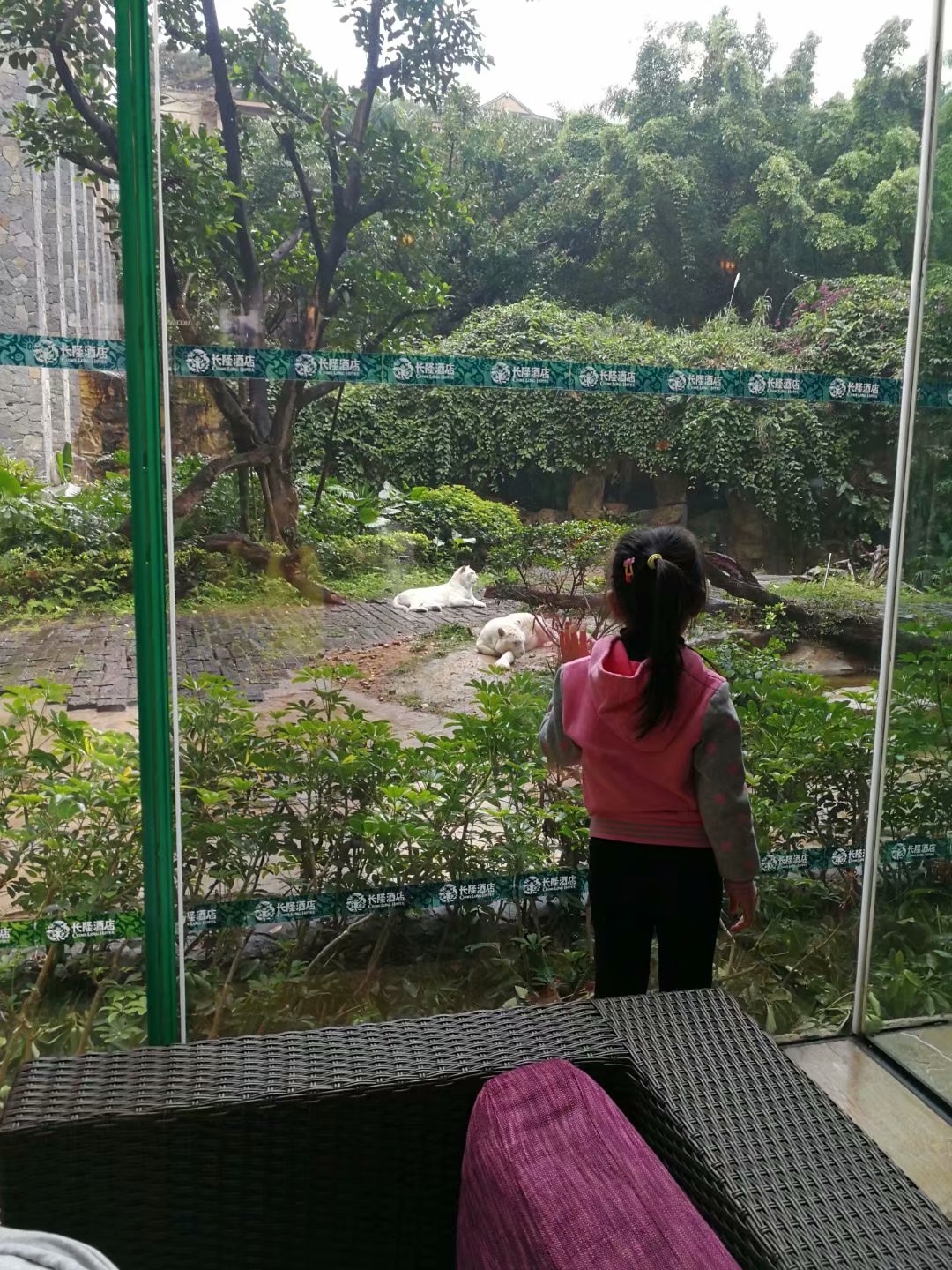 广州长隆海洋王国和珠海海洋王国,广州长隆海洋王国和珠海长隆