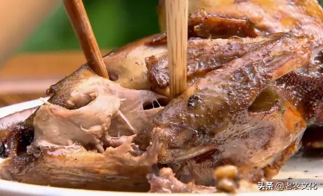 养蛋鸽500只投资多少钱,新手养鸽投资