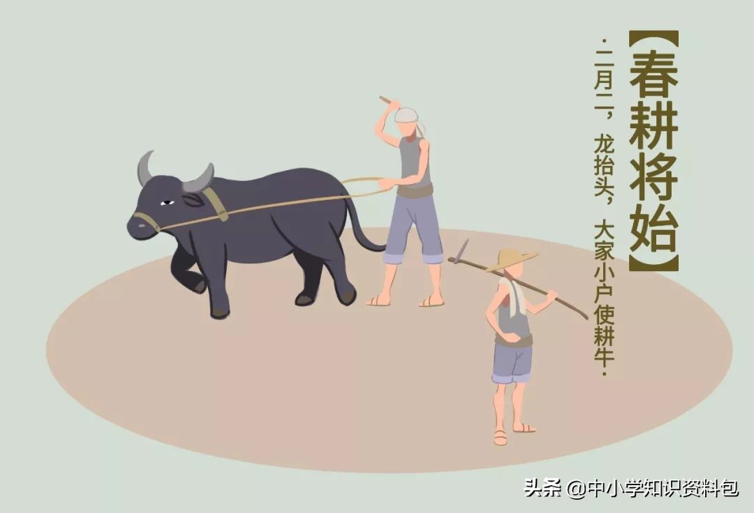 最全的「中国传统节日」拓展知识+习俗插图汇总，考点常识，收藏