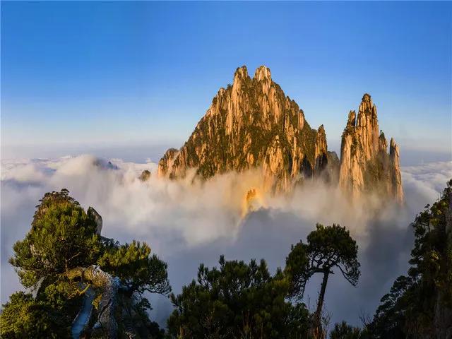 古诗词里的山，江碧鸟逾白，山青花欲然