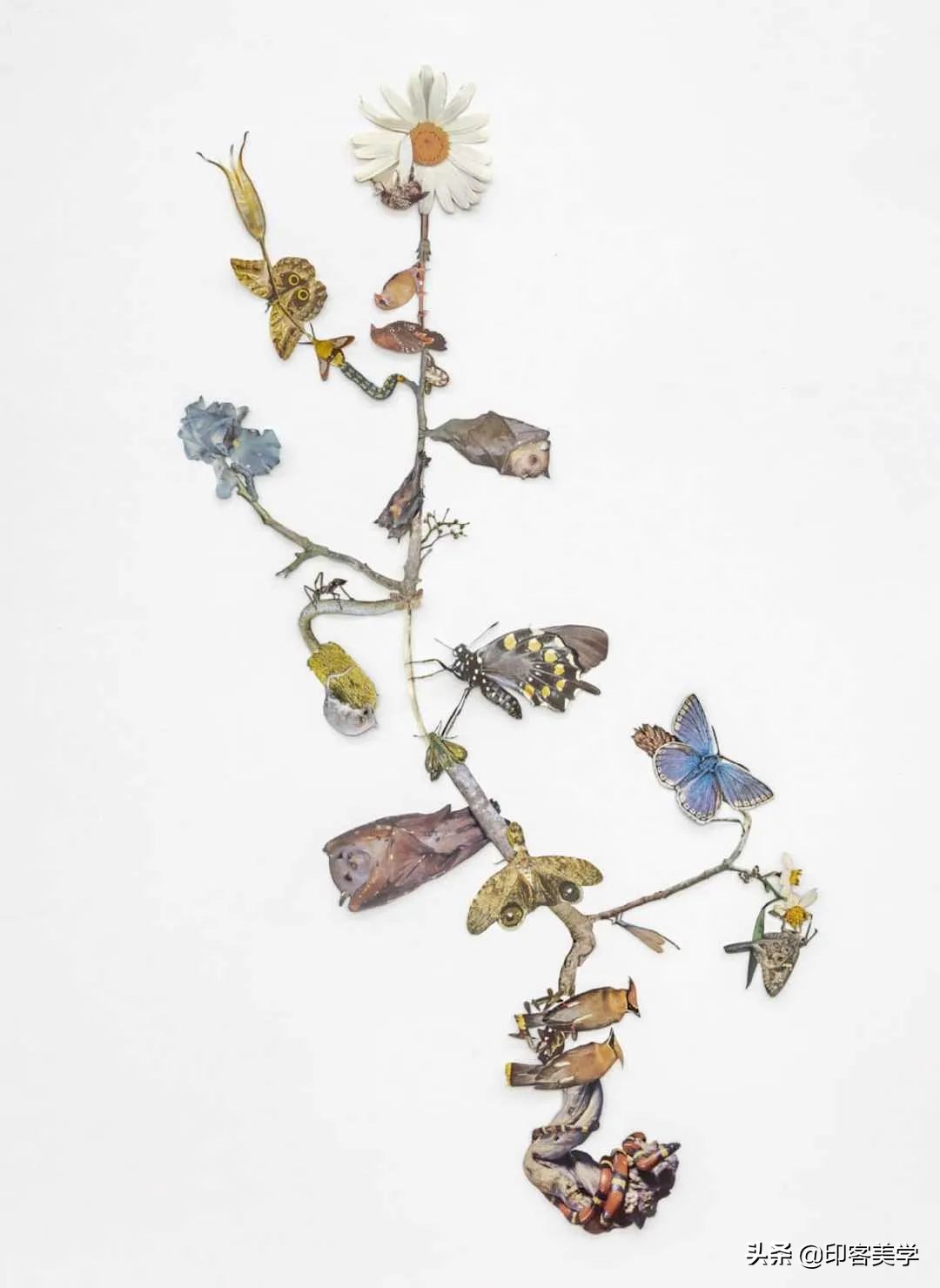 纸的艺术手工作品,惊艳的手工纸艺品