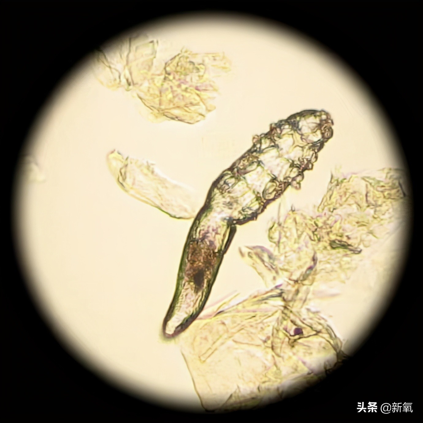 宋祖儿港风绝美照片,宋祖儿侧颜简直太美啦