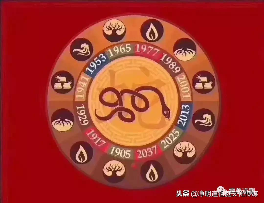 2019年己亥年太岁,猪年本命年怎么化解犯太岁