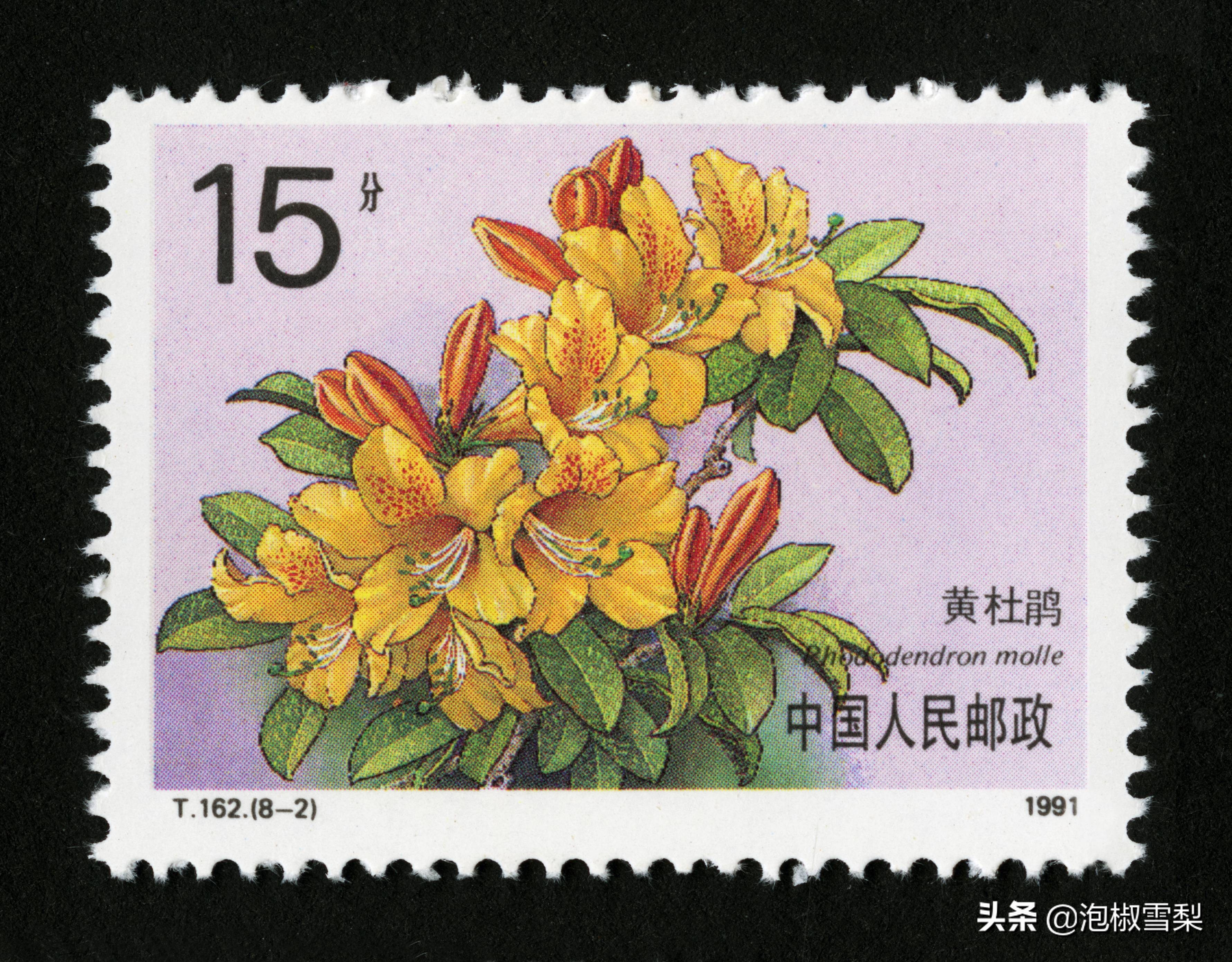 中国1991年发行的全部邮票图片｜陈胜吴广.计划生育.社会主义建设