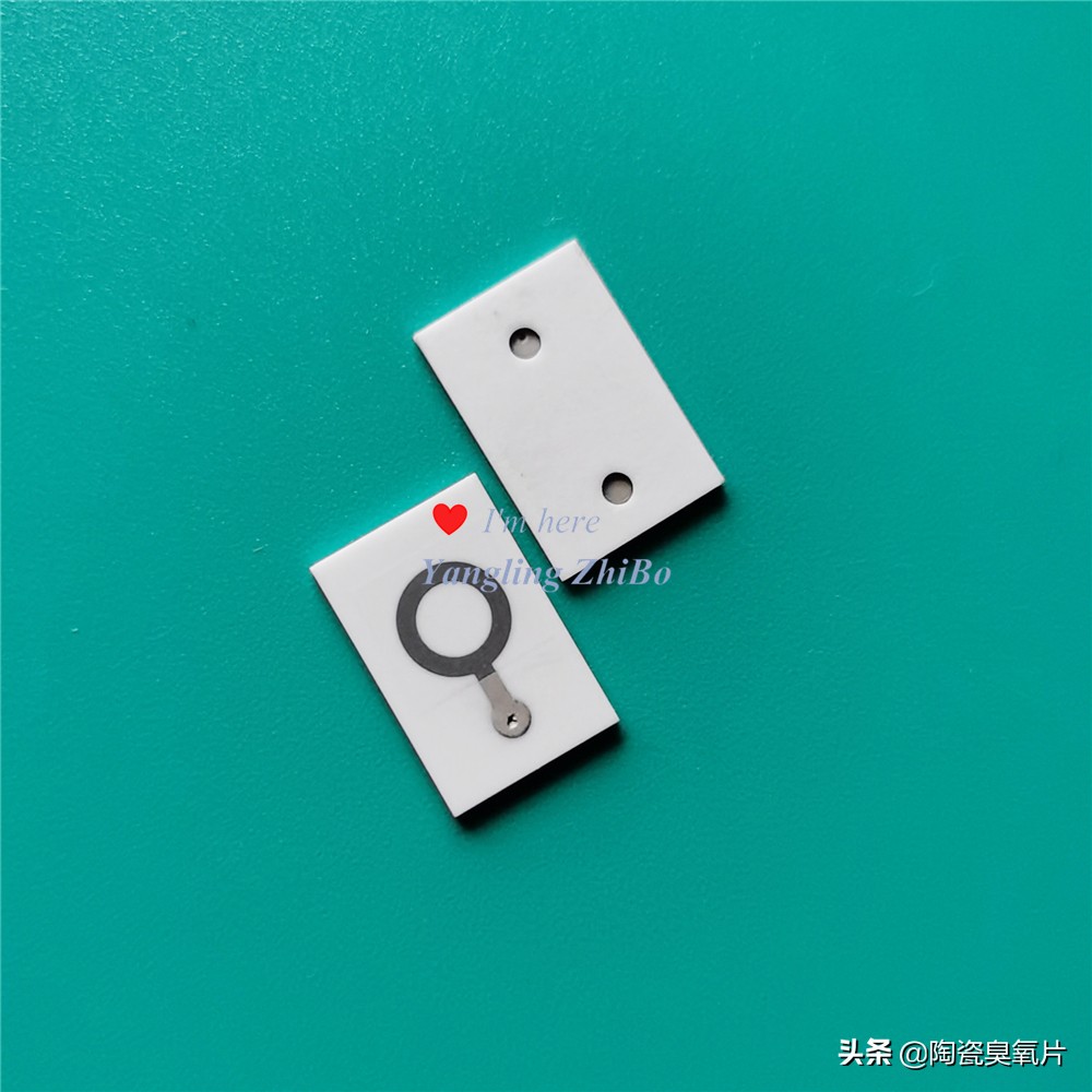 臭氧发生片的结构图,臭氧片臭氧发生器