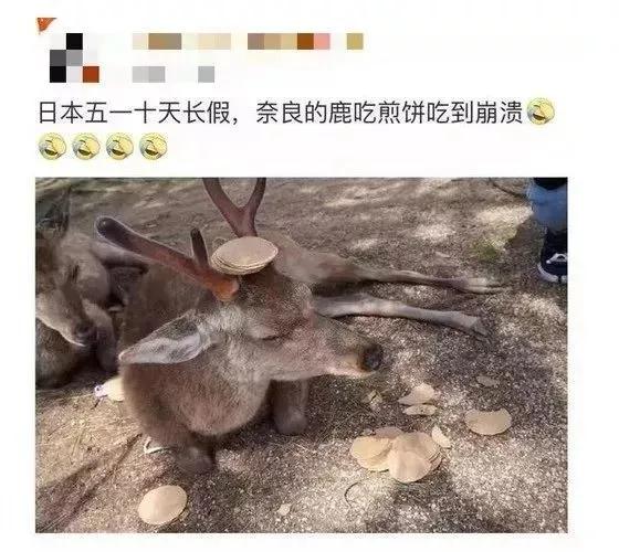 被冠以“素质低”的中国游客，如今成了一些国家最为思念的亲人