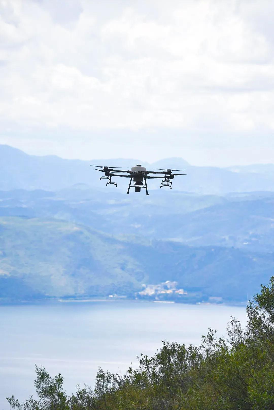 中国植树造林面积,中国植树造林成果国外有什么看法