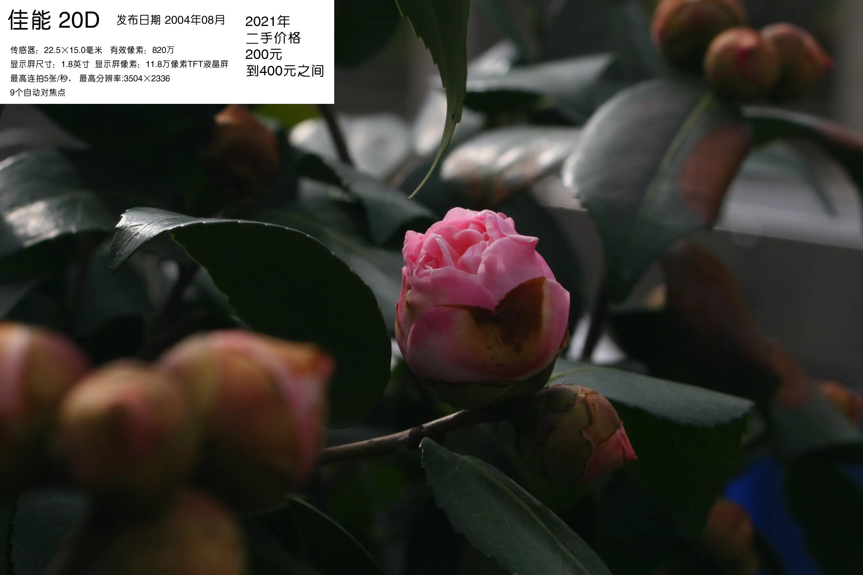 去学摄影花费2w到底值不值得,想学摄影不知道从哪里入手