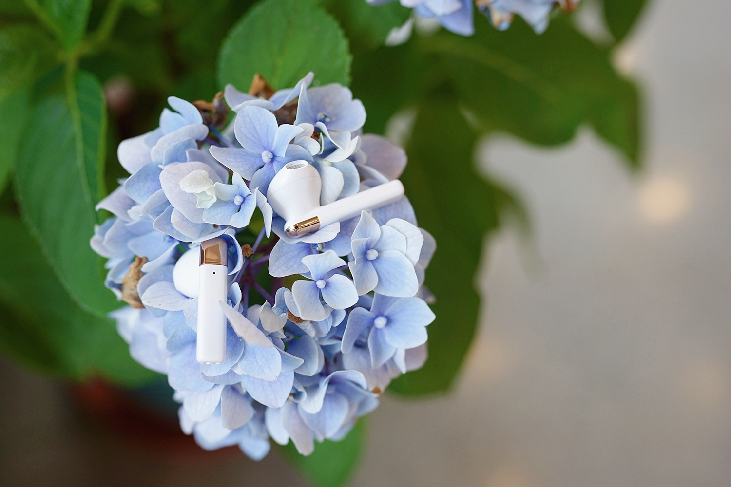 百元倍思头戴式蓝牙耳机测评,百元以内蓝牙耳机推荐评测倍思