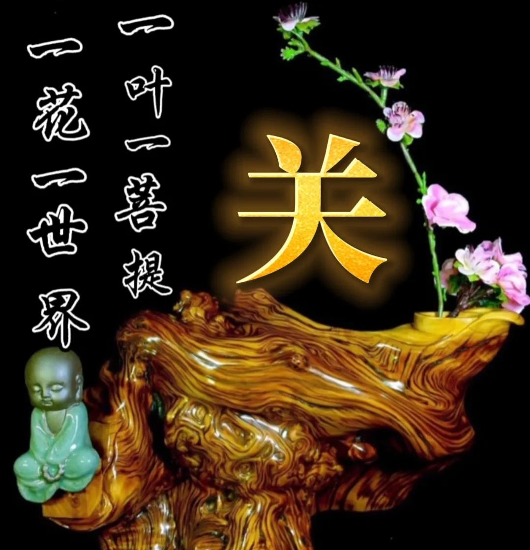 一花一世界一叶一菩提头像,一叶一菩提禅意微信头像