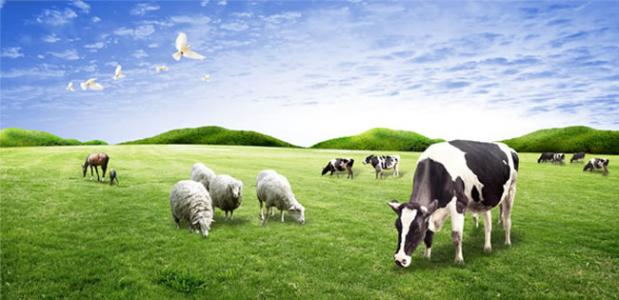 钀ラ攢鍥涘ぇ鎴愪氦绉樿瘈,钀ラ攢娉曞垯涓夊ぇ瀹氬緥